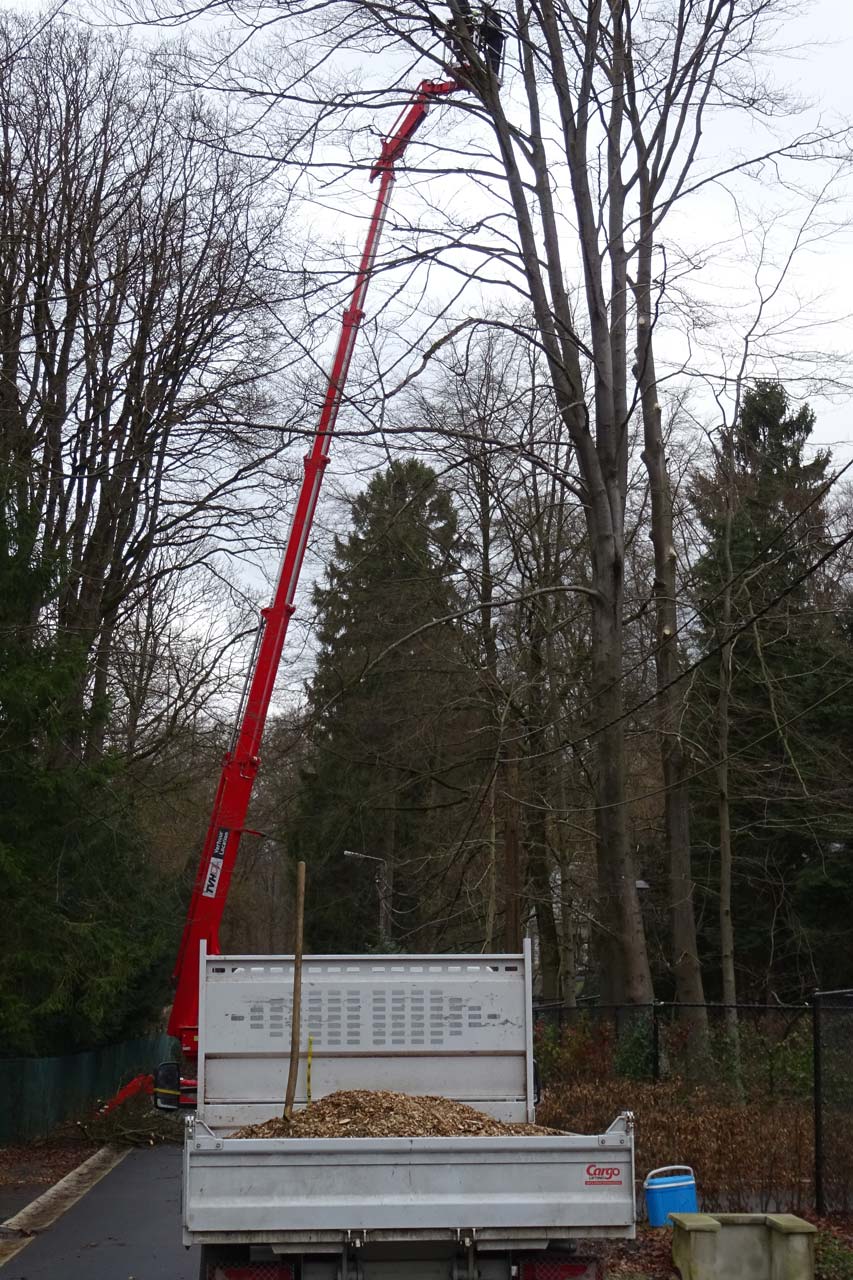 Brundseaux Espaces Verts et Jardins