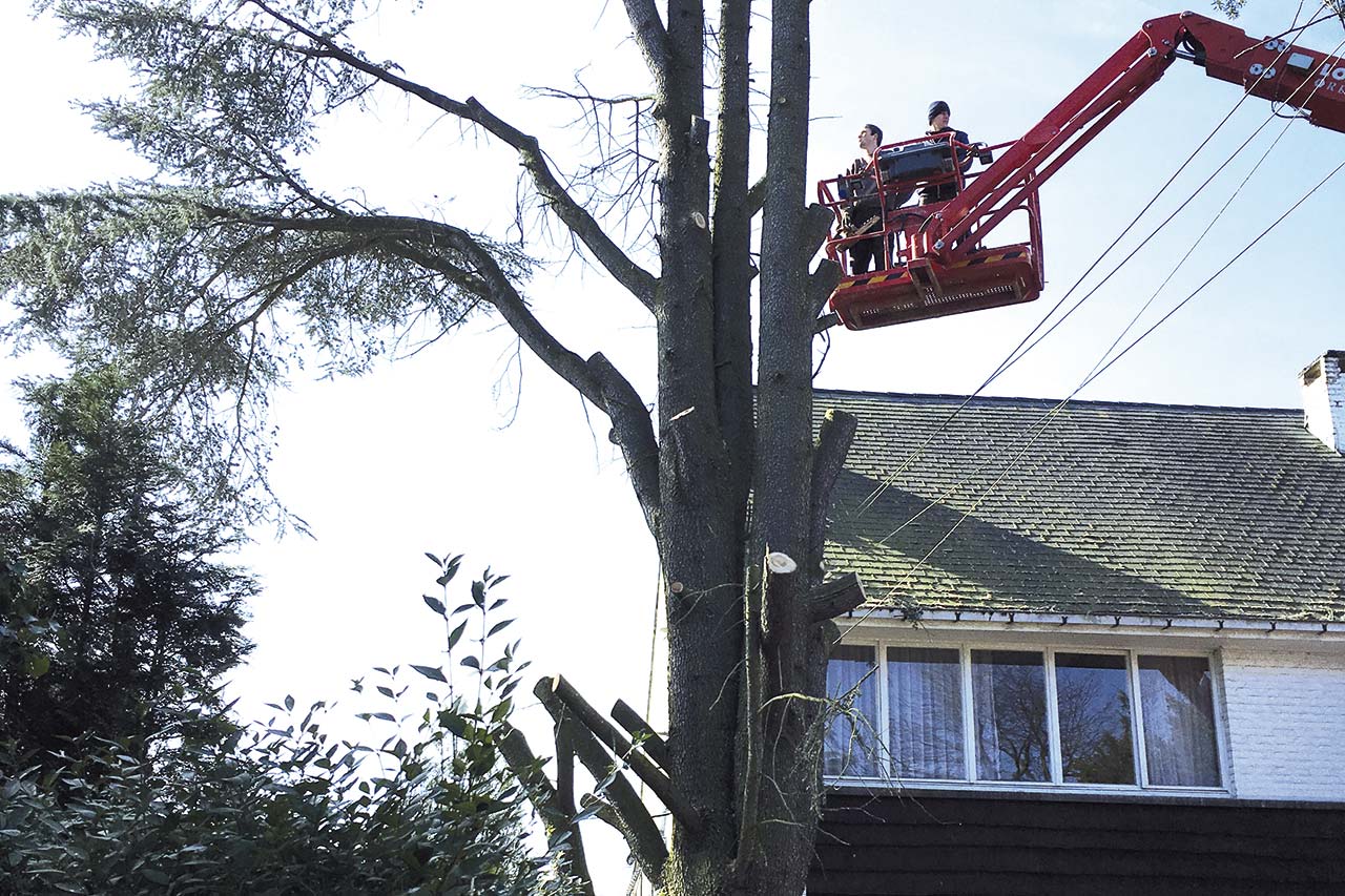 Brundseaux Espaces Verts et Jardins