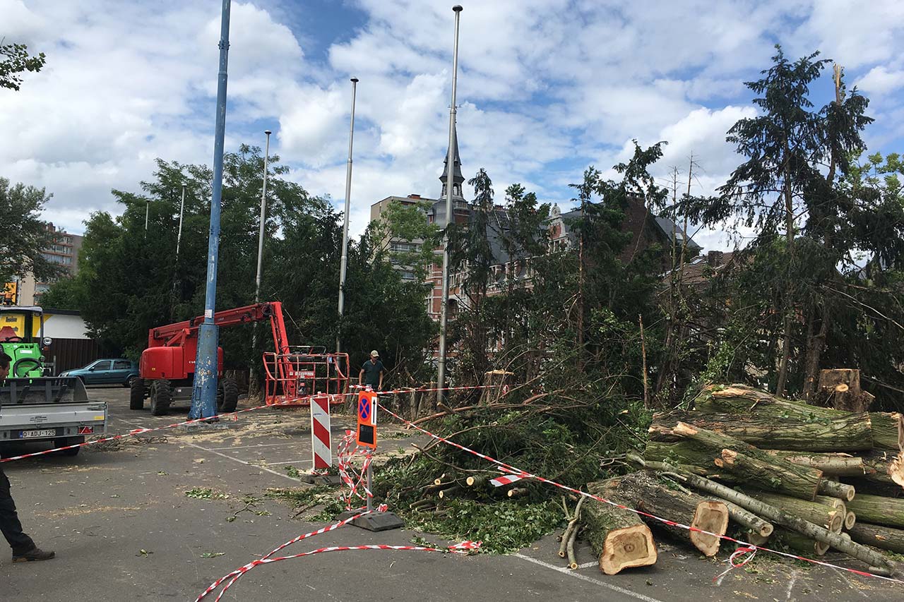Brundseaux Espaces Verts et Jardins