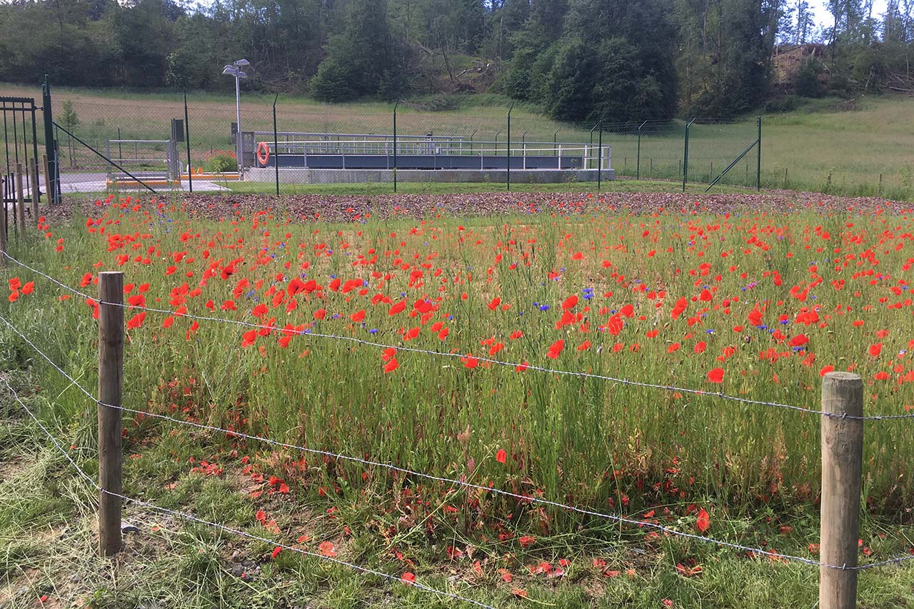 Brundseaux Espaces Verts et Jardins
