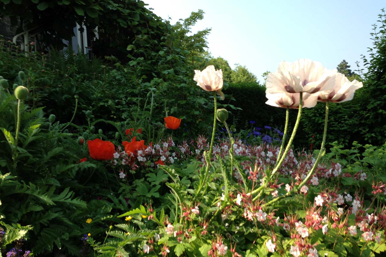 Brundseaux Espaces Verts et Jardins