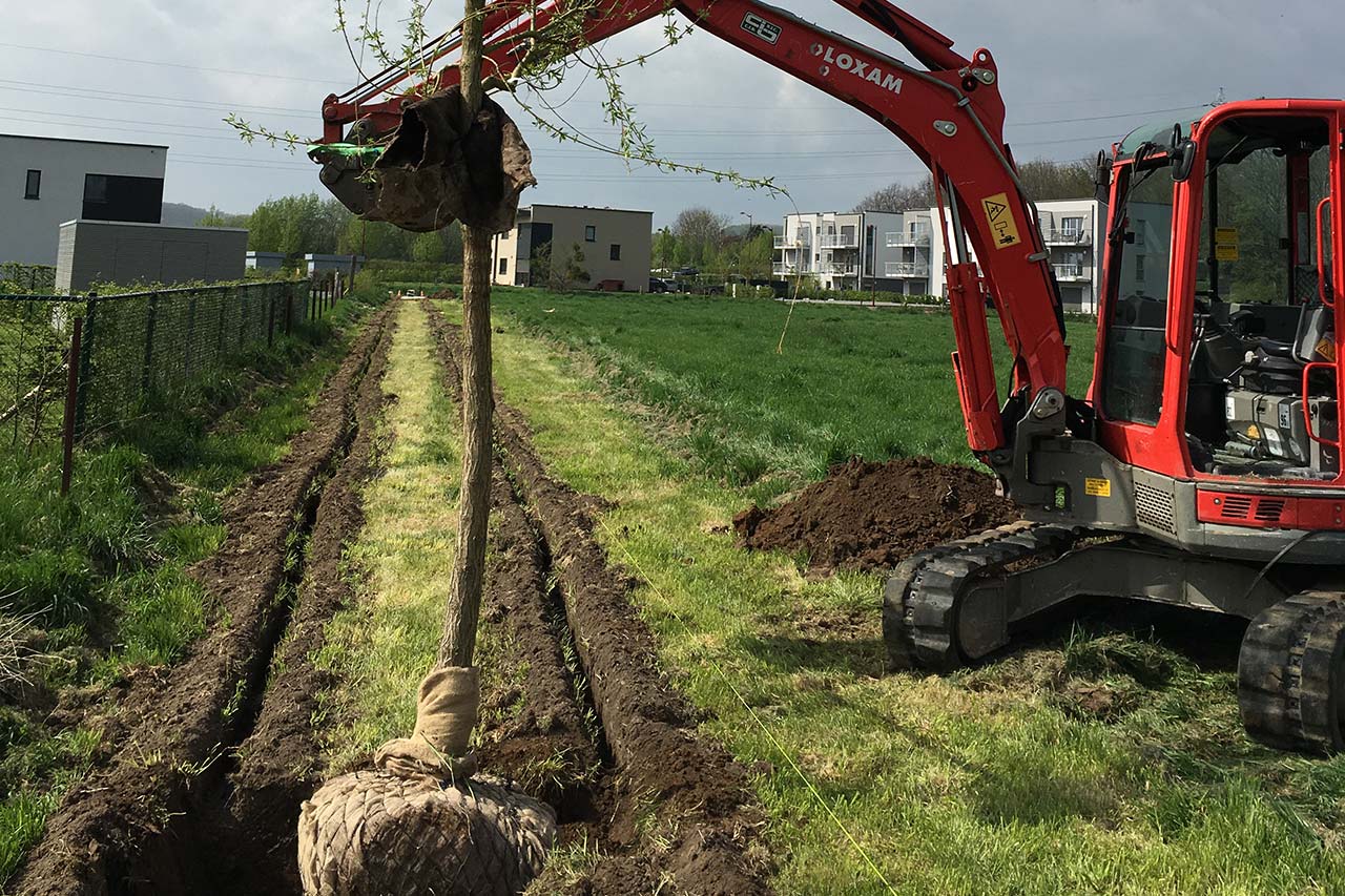Brundseaux Espaces Verts et Jardins